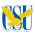 自由大学